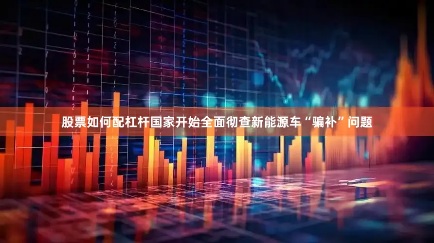 股票如何配杠杆国家开始全面彻查新能源车“骗补”问题
