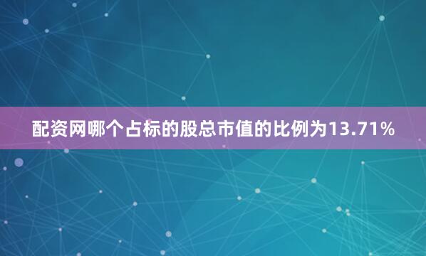 配资网哪个占标的股总市值的比例为13.71%