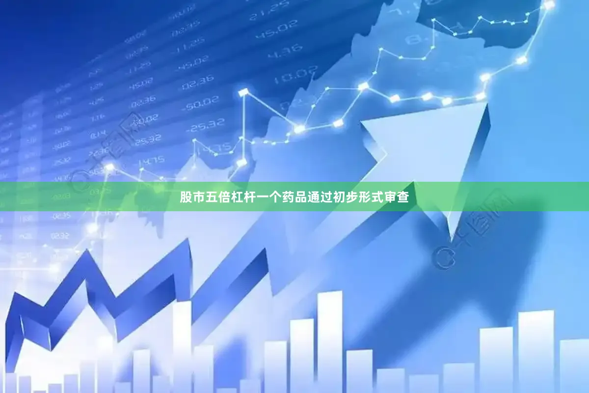 股市五倍杠杆一个药品通过初步形式审查