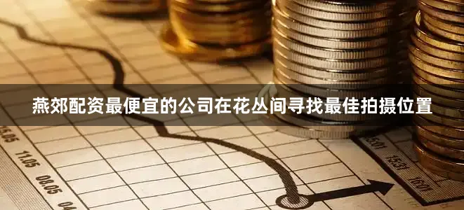燕郊配资最便宜的公司在花丛间寻找最佳拍摄位置