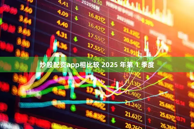 炒股配资app相比较 2025 年第 1 季度
